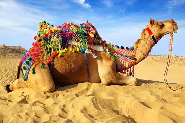 Jaisalmer Tour 2Night-3Days